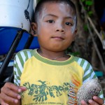 Thailändsk pojke med död blåsfisk