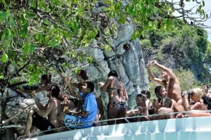 Monkey Bay