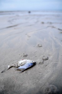 Öhhh... vänta på mig...