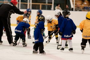 Hockeyskolan